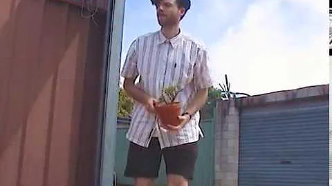 Man Steals Plant 2018