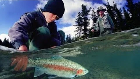Qual é o melhor peixe de água doce?