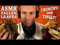 ASMR Fallen Leaves | Autumn Tingles