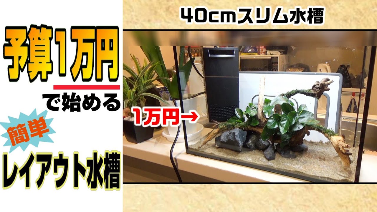 1万円以内でキッチンカウンターにも置ける40cmスリム水槽設置 各用品