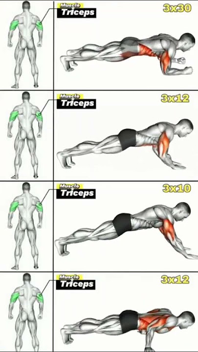 Tricep Gains 💥 | No Excuses Training