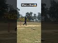 What a shot played by a Batsman || #cricket #cricketshots #cricketlover