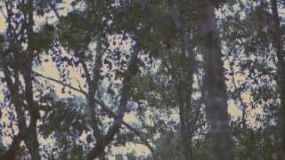 Makari - "Keeper" Official Music Video chords