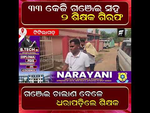 ଗଞ୍ଜେଇ ଜବତ, ଡ୍ରାଇଭରଙ୍କ ସହ ଧରାପଡ଼ିଲେ ଦୁଇ ଶିକ୍ଷକ ll FOCUS PLUS ||