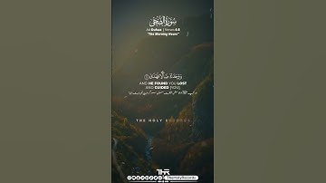 سوره ضحی آیات 6-8 | محمد صدیق المنشاوی | سوابق مقدس