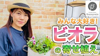 【秋といえばこれ！】ビオラで豪華な寄せ植えを作ろう！　#58