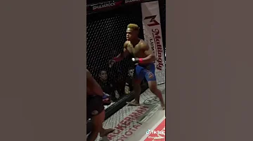 fatal kick K.o mma world