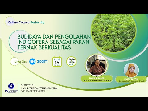 Video: Analisis impas perusahaan. Analisis titik impas produksi