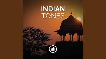 Indian Drone Tone in C# (Db)
