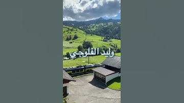 قال ياليت قومي يعلمون تلاوة عراقية بصوت الشيخ وليد الفلوجي /روائع القراءات