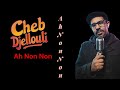 Cheb Djellouli Ah Non Non 