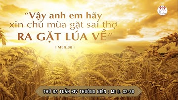 Suy niệm Lời Chúa | Thứ Ba tuần XIV Thường Niên | Mt 9, 32-38 | Lm Ant. Nguyễn Cao Siêu SJ
