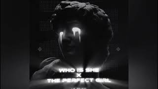 Who Is She x The Perfect Girl (L.K. Music Techno Remix)