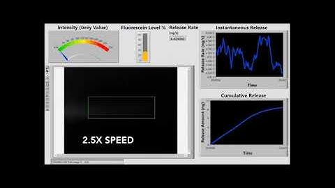 Configurable Microfluidic Platform for Investigating Therapeutic...