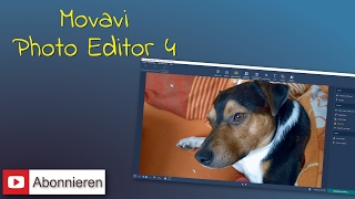 Movavi Photo Editor 4 - Hautverunreinigungen und Partikel entfernen (deutsch) screenshot 2