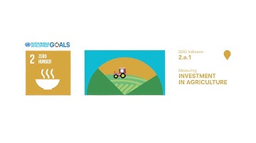 SDG 2 – Indicator of public investment in agriculture