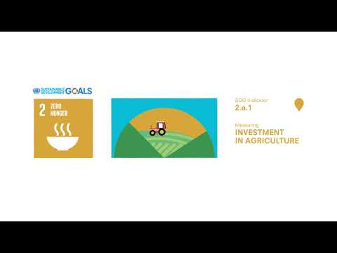 SDG 2 – Indicator of public investment in agriculture