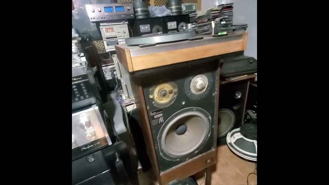 ALEEM/LARRY LEVAN VERSION 12