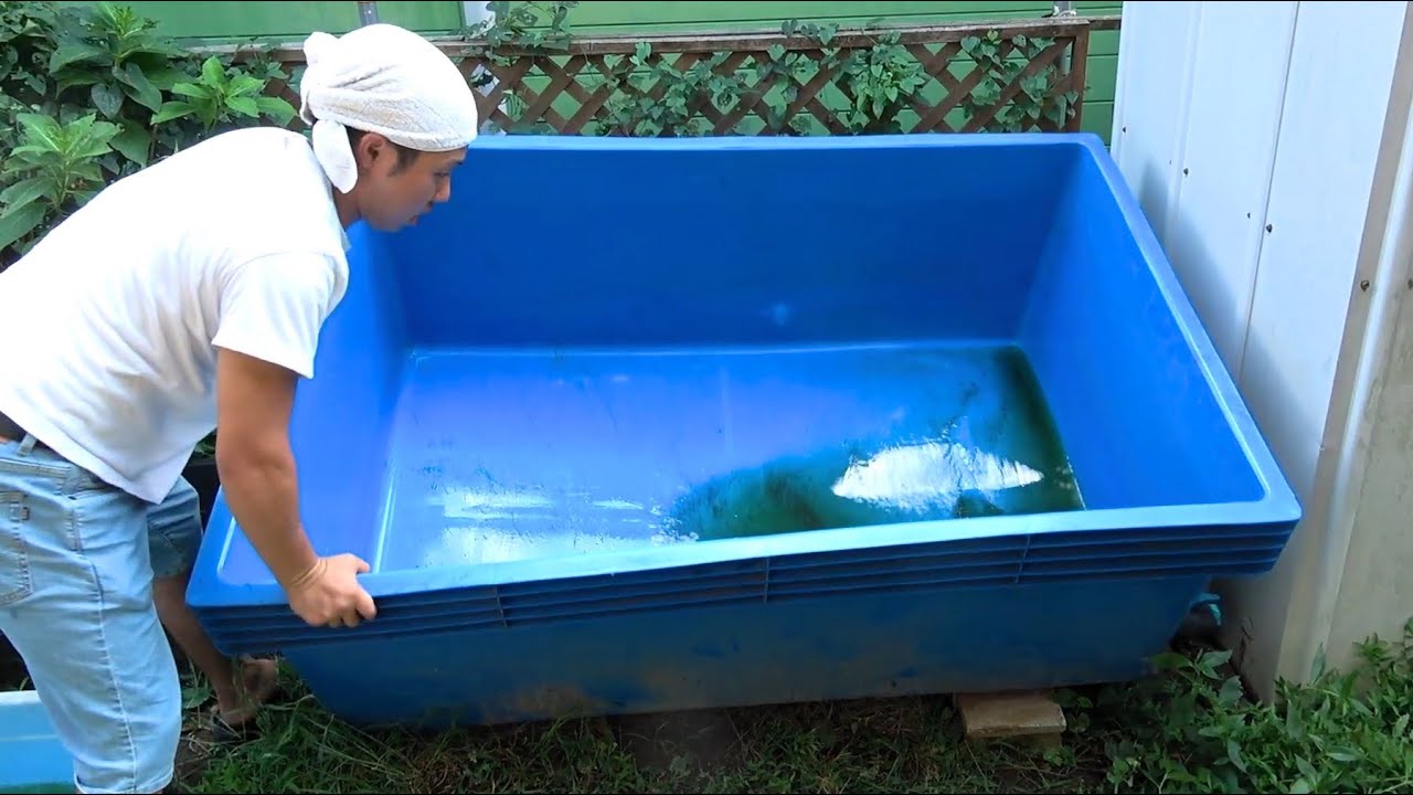 水瓶　水がめ３個まとめて　みずがめ 水瓶【みずがめ雨水貯水タンク】陶器の拡大画像
