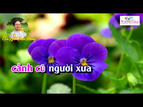 vọng cổ // KIM VÂN KIỀU Karaoke song ca đào