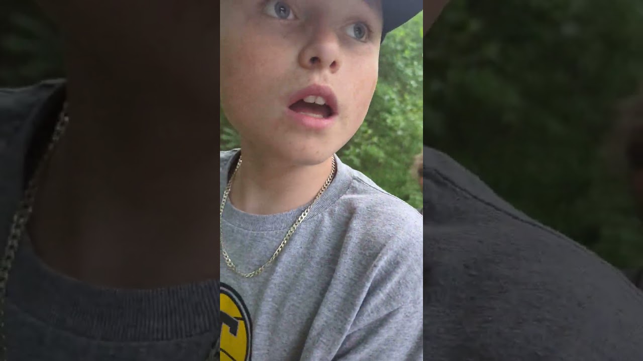 Forest adventure part 1