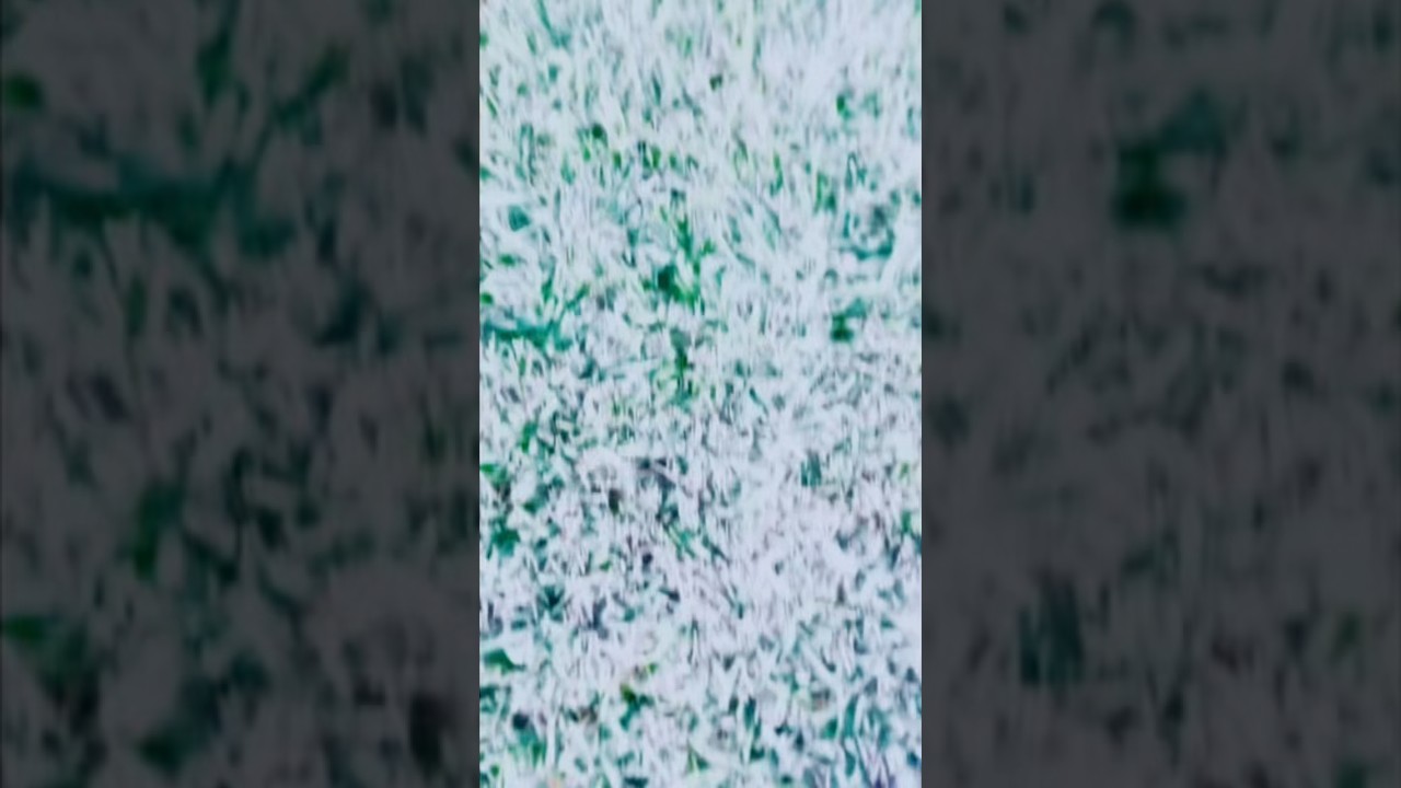 GOD IS WOTH US 2026❗️❗️❗️