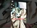 मम्मी में स्मार्ट तोहूं ना। cat #funny #comedy #funnycomedy #cat #pets #animals #entertainment