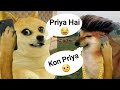 Priya hai  priya comedy full  gf and bf funny conservation dogecheems dogeman