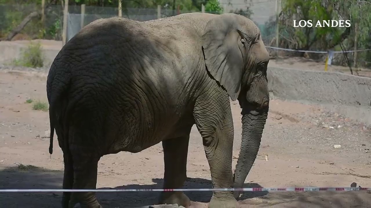 Como esta el ex zoo de Mendoza hoy convertido en Ecoparque