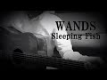 WANDS / Sleeping Fish (弾き語りCover)