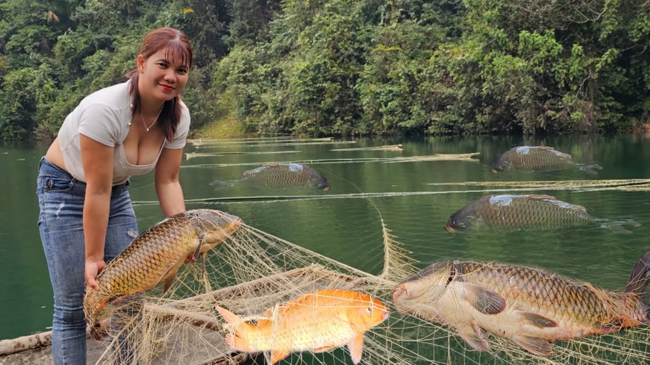 The girl spread a net overnight on the water, caught many big fish to sell.  New life on the lake. 