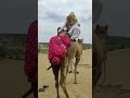 امرأة تصر على التعلق بظهر الحيوان.. موقف كوميدي وغير متوقع! 🐫👩😂