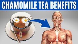 Chamomile Tea Benefits - 13 Impressive Health Benefits Of Chamomile Tea