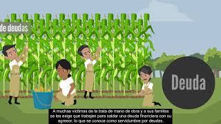 Spanish Forced Labor MASTER 1080p