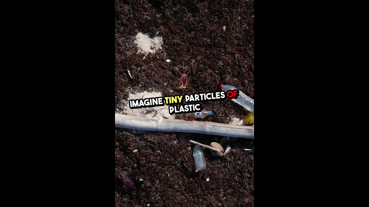 End Plastic Waste  A Wake Up Call 