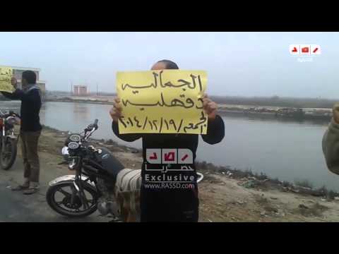 رصد الدقهلية سلسله بشريه بمركز الجماليه طريق السلام الدولى الجمعة