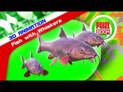 Green Screen Fish with Whiskers 3D Animation - PixelBoomCG
