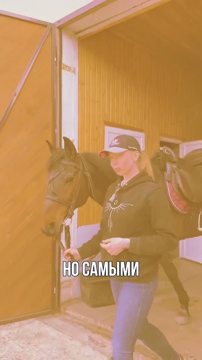 Глэмпинг «Доминго Дача» 🙌🏻 - YouTube