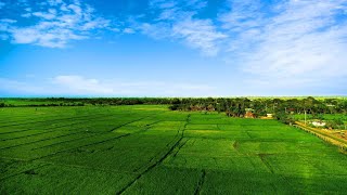 Avonil Resort Yala, Tissamaharama | Travel With Sandhya