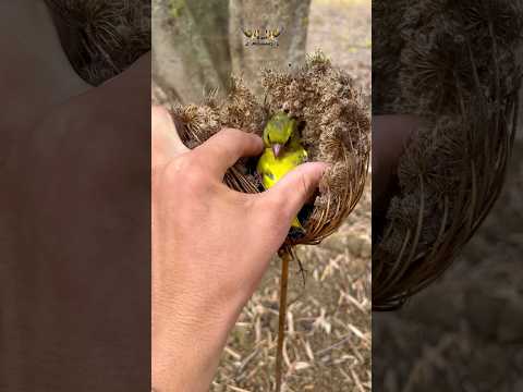 كيف يستطيع النوم هناك     