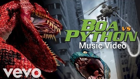 Boa vs python / Music Video