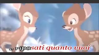 Zucchero - Un piccolo aiuto (karaoke - fair use)