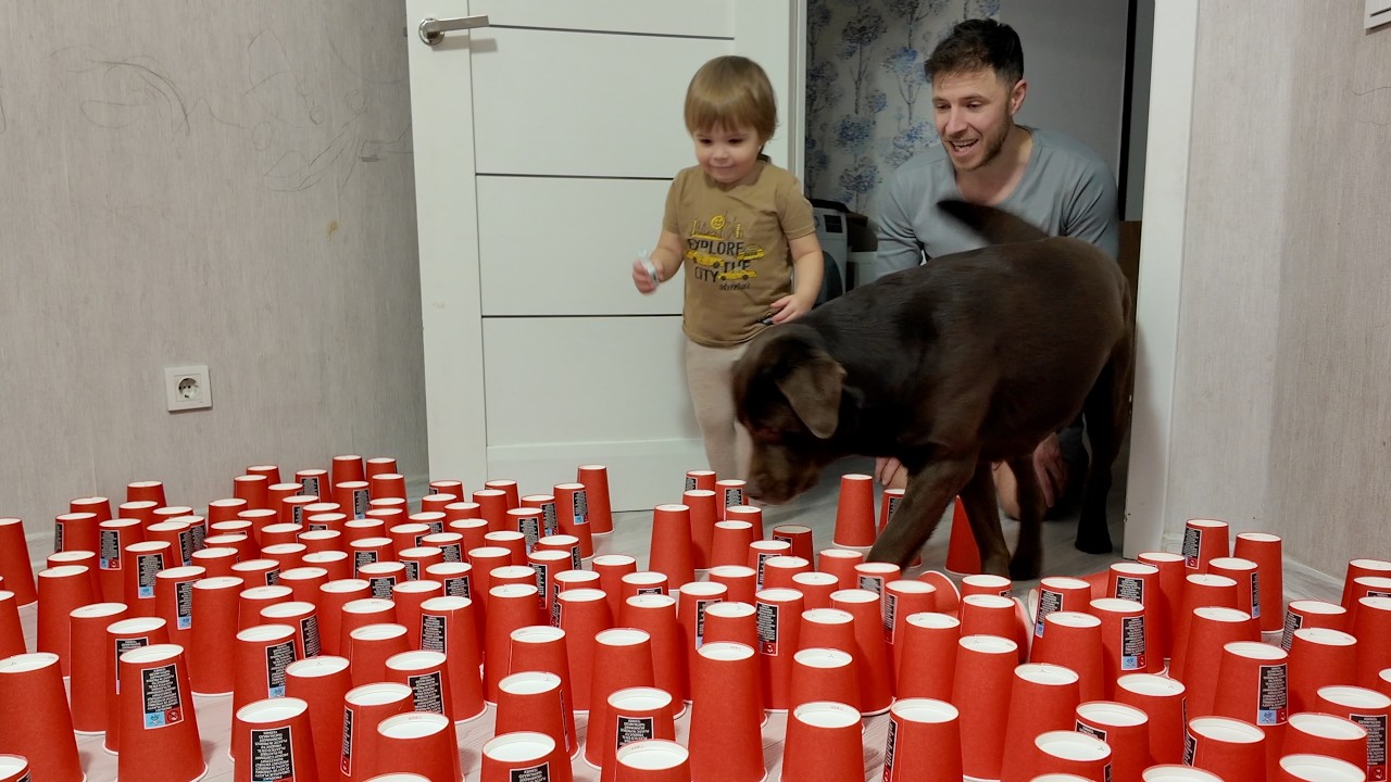 Who Will Find The Ball Faster?!