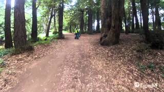 Things to Do in San Francisco | Expedia Viewfinder Travel Blog