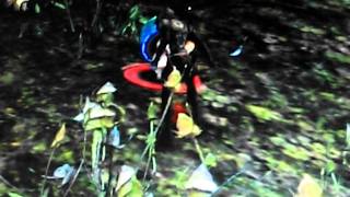 Bug Priston Tale 2
