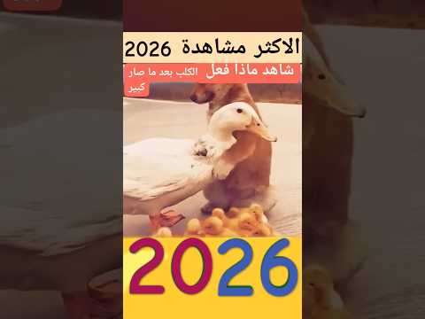 جديد حصريا جديد د ترند 2025 العرض الاول في يوتيوب 2026