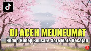 Download lagu DJ REMIX ACEH MEUNEUMAT - DUNYA MUSIK | LAGU TERBARU 2025