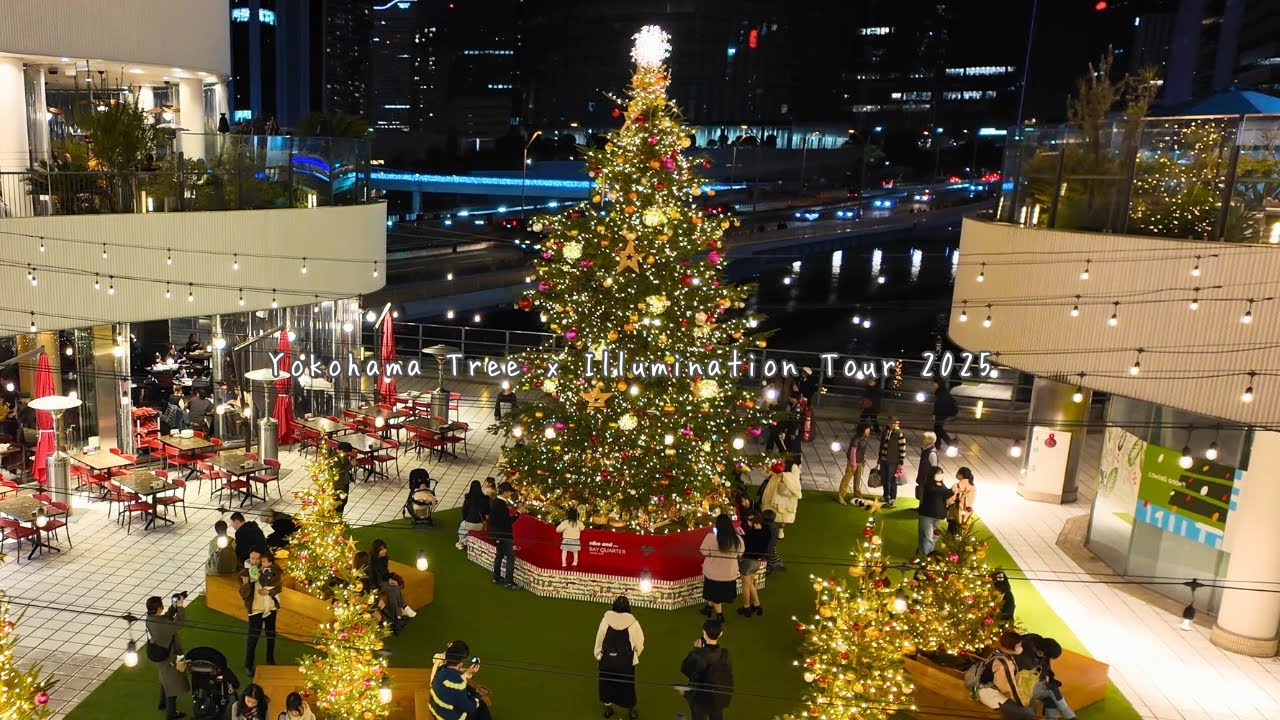 【4K横浜】クリスマスツリー＆イルミネーション 2025｜Christmas Trees & Illuminations