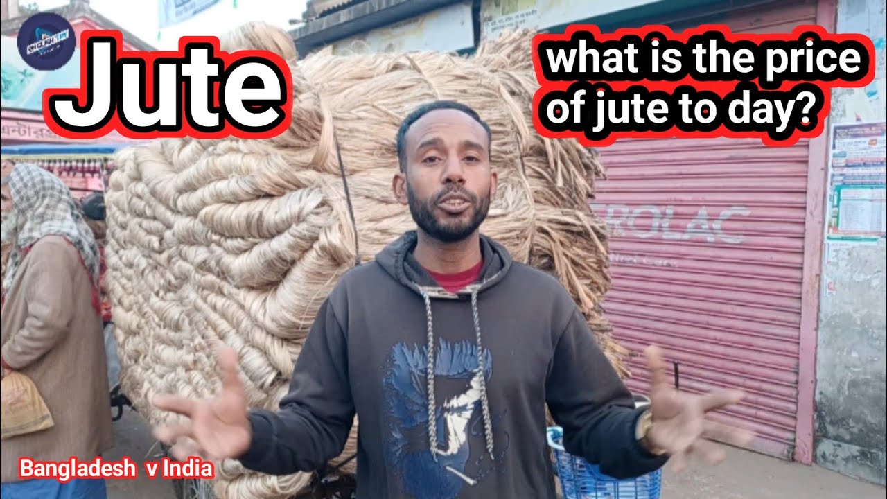 What Is the Price of Jute in Gurdaspur at Chaskoir Today? | Latest Jute Market Rate