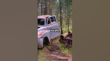 The Lizard Man of Scape Ore Swamp #lizardman #swampmonster #cryptids #unsolvedmystery